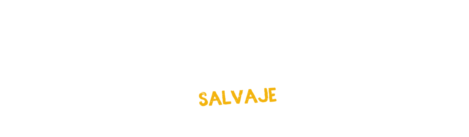 Logo - Circo Safari - Altaplaza Mall Panamá